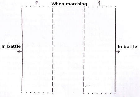 Crassus formation according to Lammert